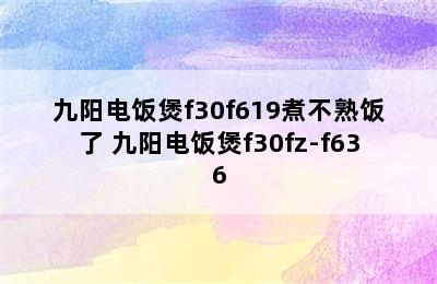 九阳电饭煲f30f619煮不熟饭了 九阳电饭煲f30fz-f636